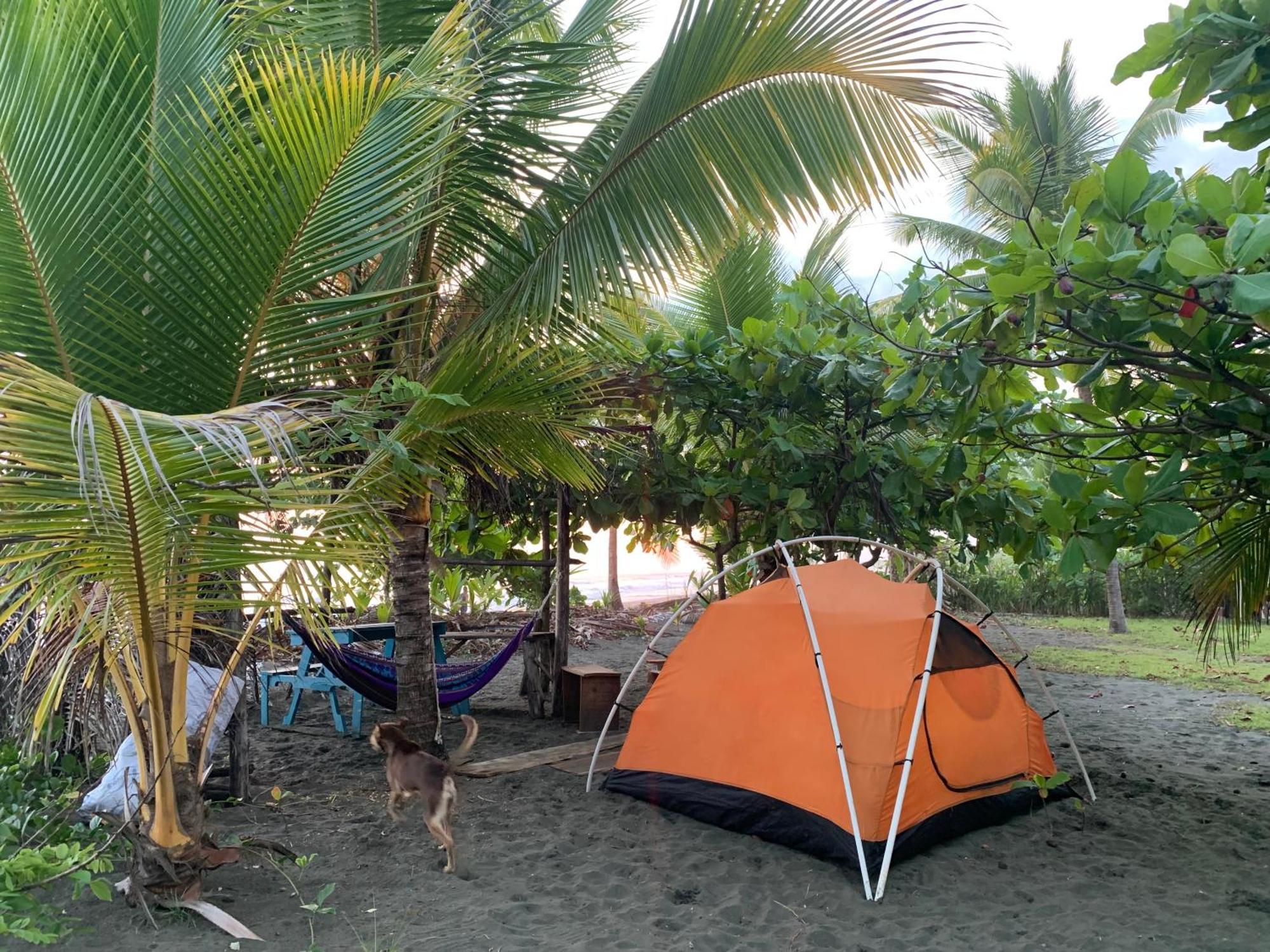 Miguel Surf Camp Hotel Quepos Exterior foto