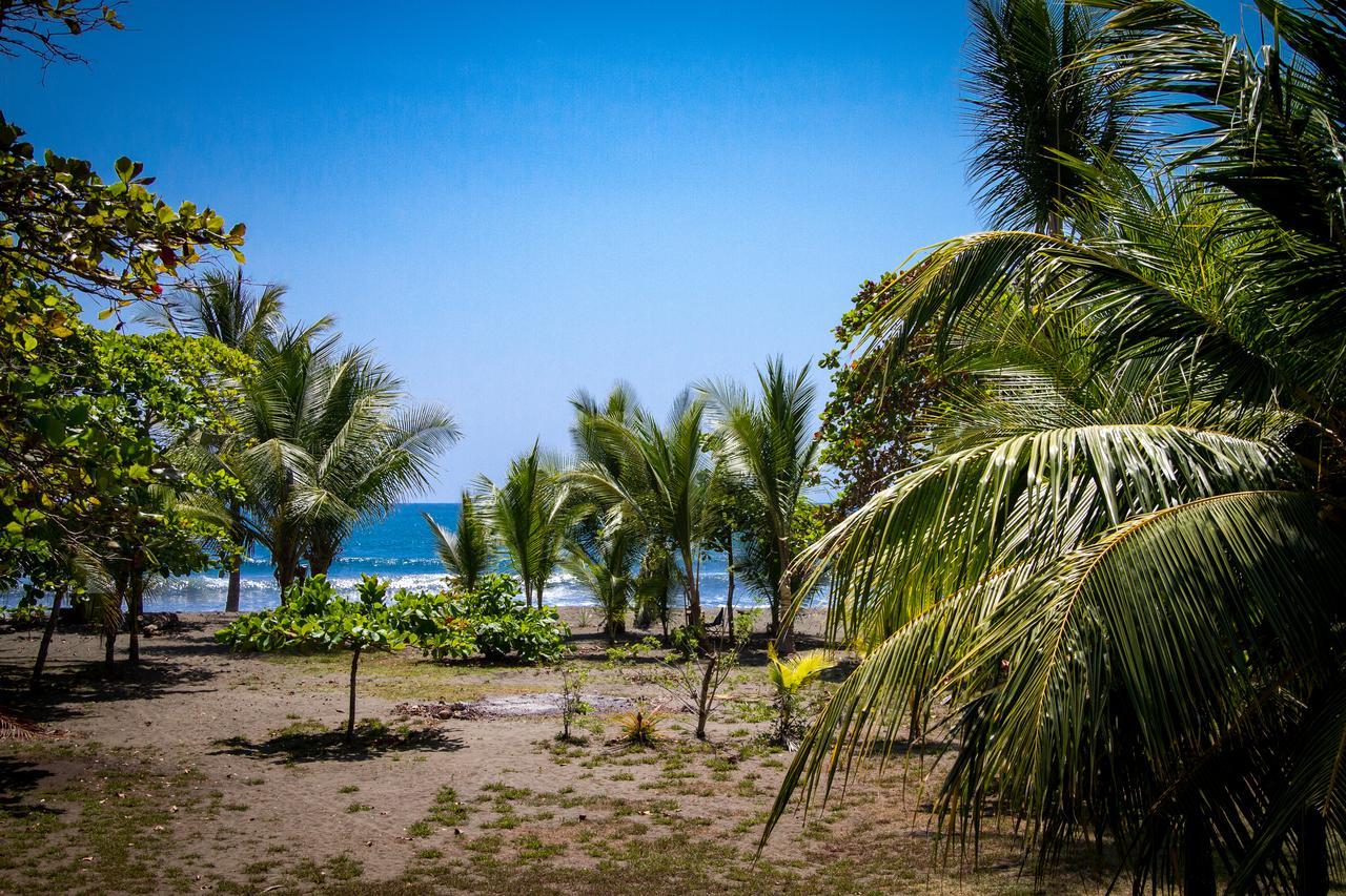 Miguel Surf Camp Hotel Quepos Exterior foto